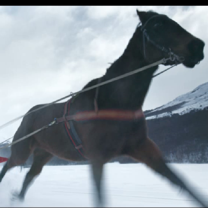 “Skijoring". Director Marcus Soderland @ Academy Films